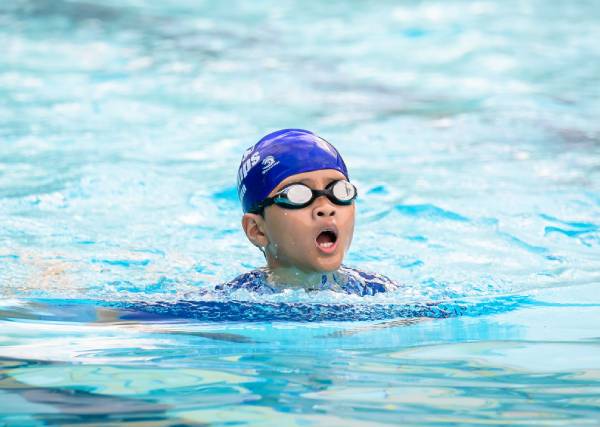Breaststroke Swimming Technique for Beginners Explained